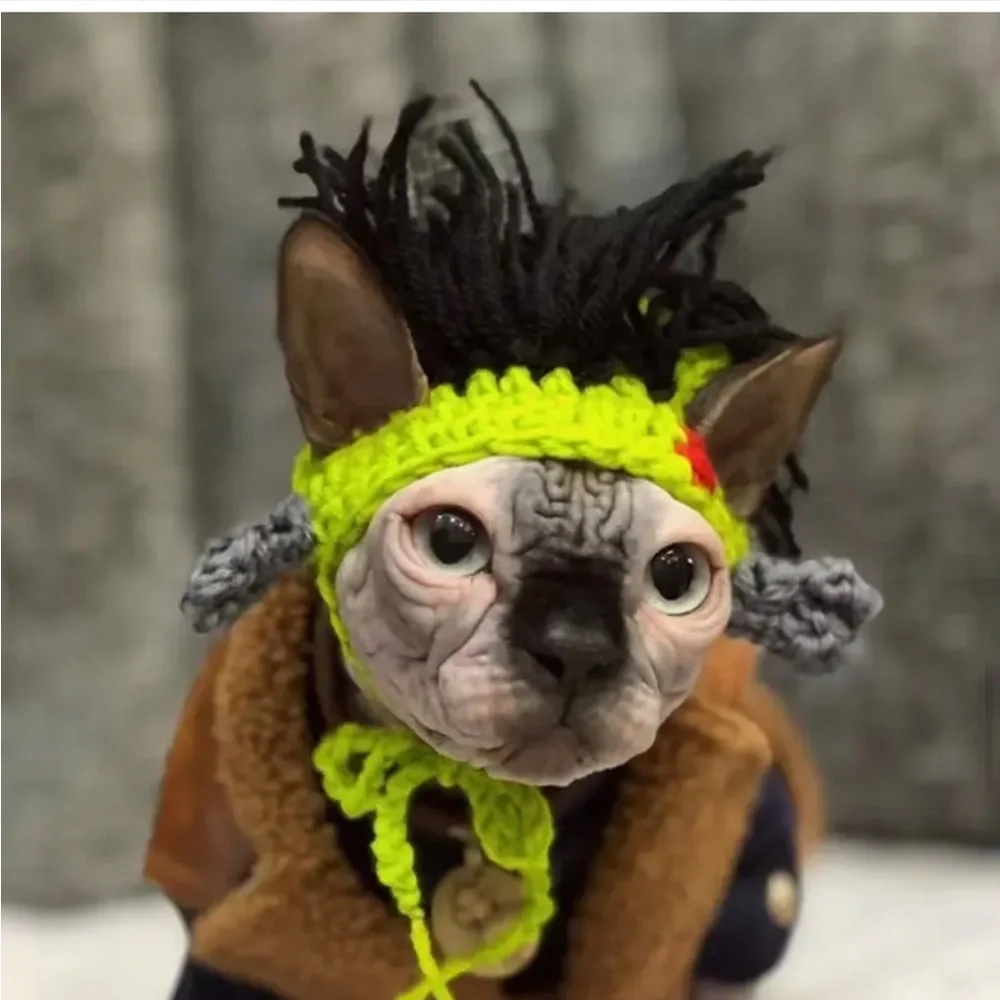 Costume Reggae Punk Rock Crochet Wig Hat for Small Pet Dog Cat (M)